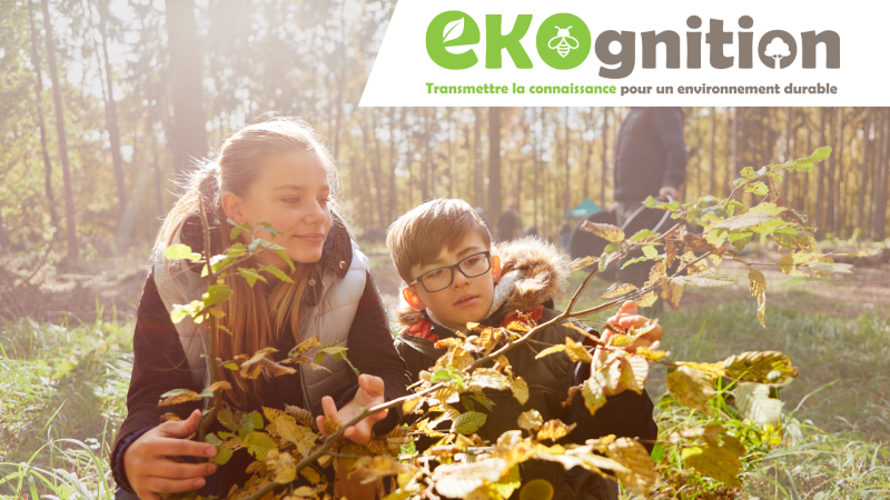 Ekognition, un programme pour sensibiliser les jeunes à la Nature